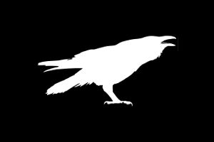 article placeholder