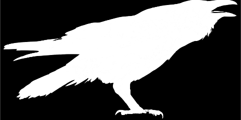 article placeholder
